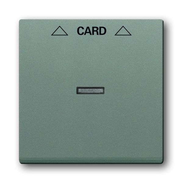 Kryt spínač kartový s průzorem ABB Solo metalická šedá ABB