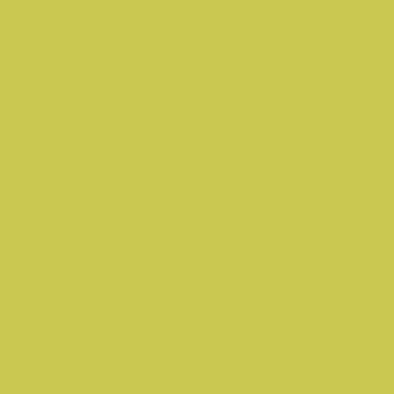 Dlažba Rako Color Two 20×20 cm žlutozelená matná GAA1K464 RAKO